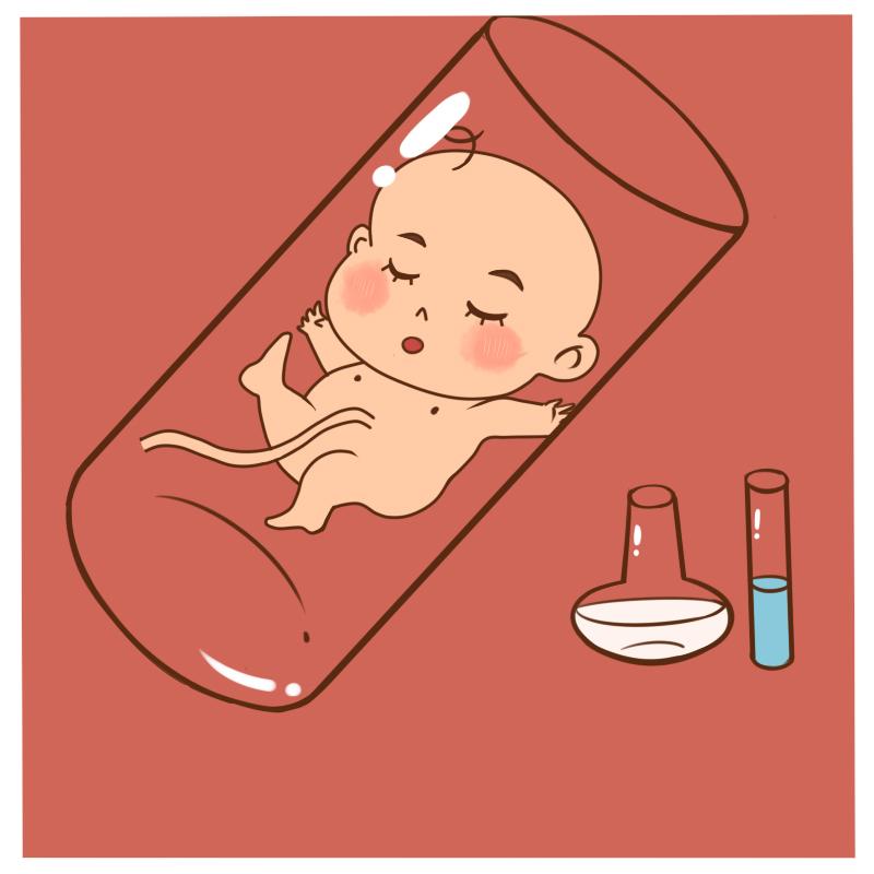 胚胎是怎样植入子宫内的？