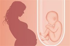 子宫有瘢痕可以做供卵试管吗？成都供卵试管机