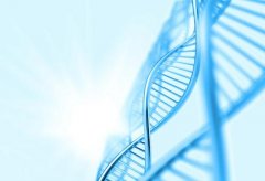 怎样判断成都供卵试管公司是不是值得信赖？