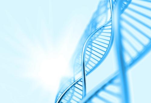 怎样判断成都供卵试管公司是不是值得信赖？